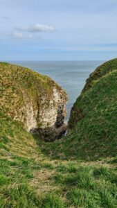 RSPB Bempton Cliffs 2